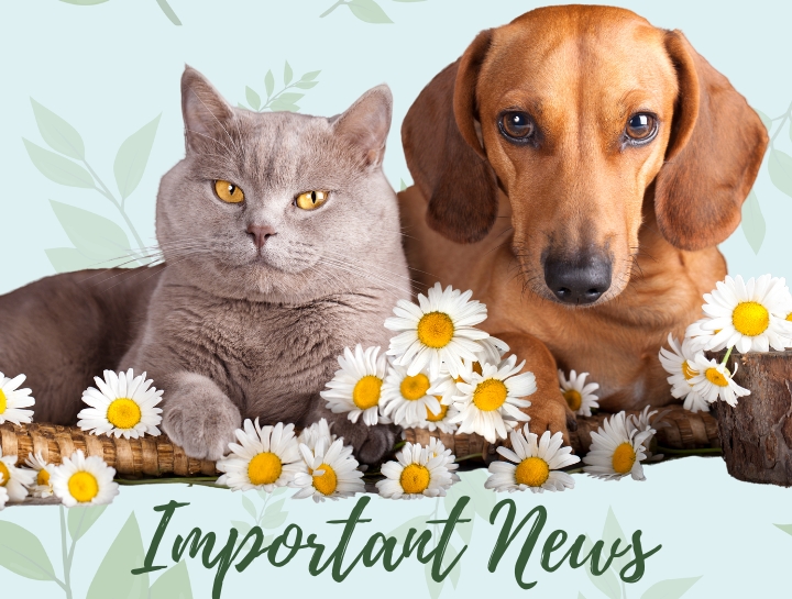 Important news at cny veterinary services at animal kingdom